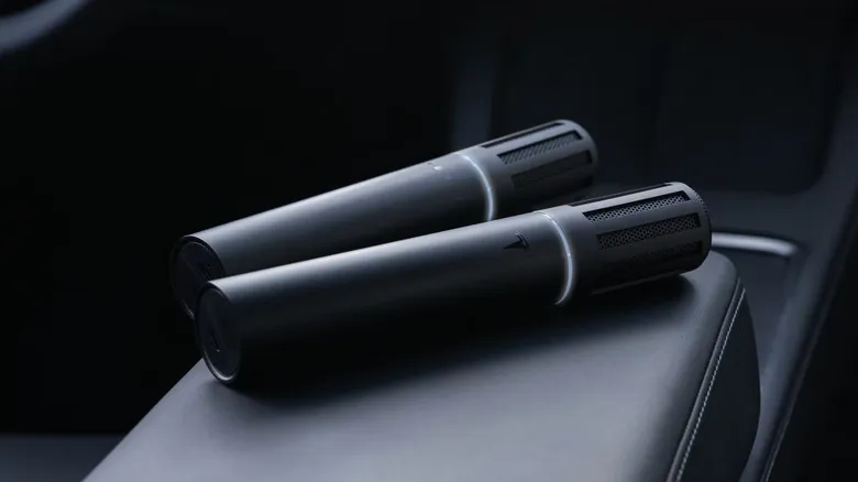 Two Tesla CaraokeMics on a vehicle console