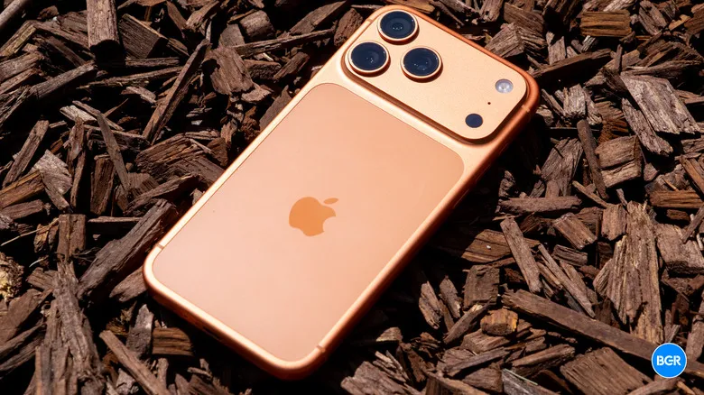 iPhone 17 Pro Max on some wood chips